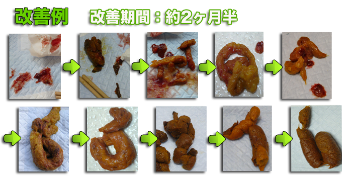 1日９回の血便からの回復したフレンチブルドッグの体験談 ナノワン