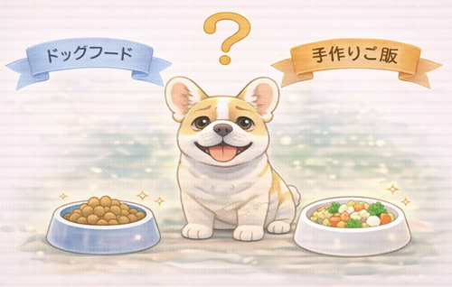 【 犬のご飯 】犬の食事選びの真実｜ドッグフードか手作り