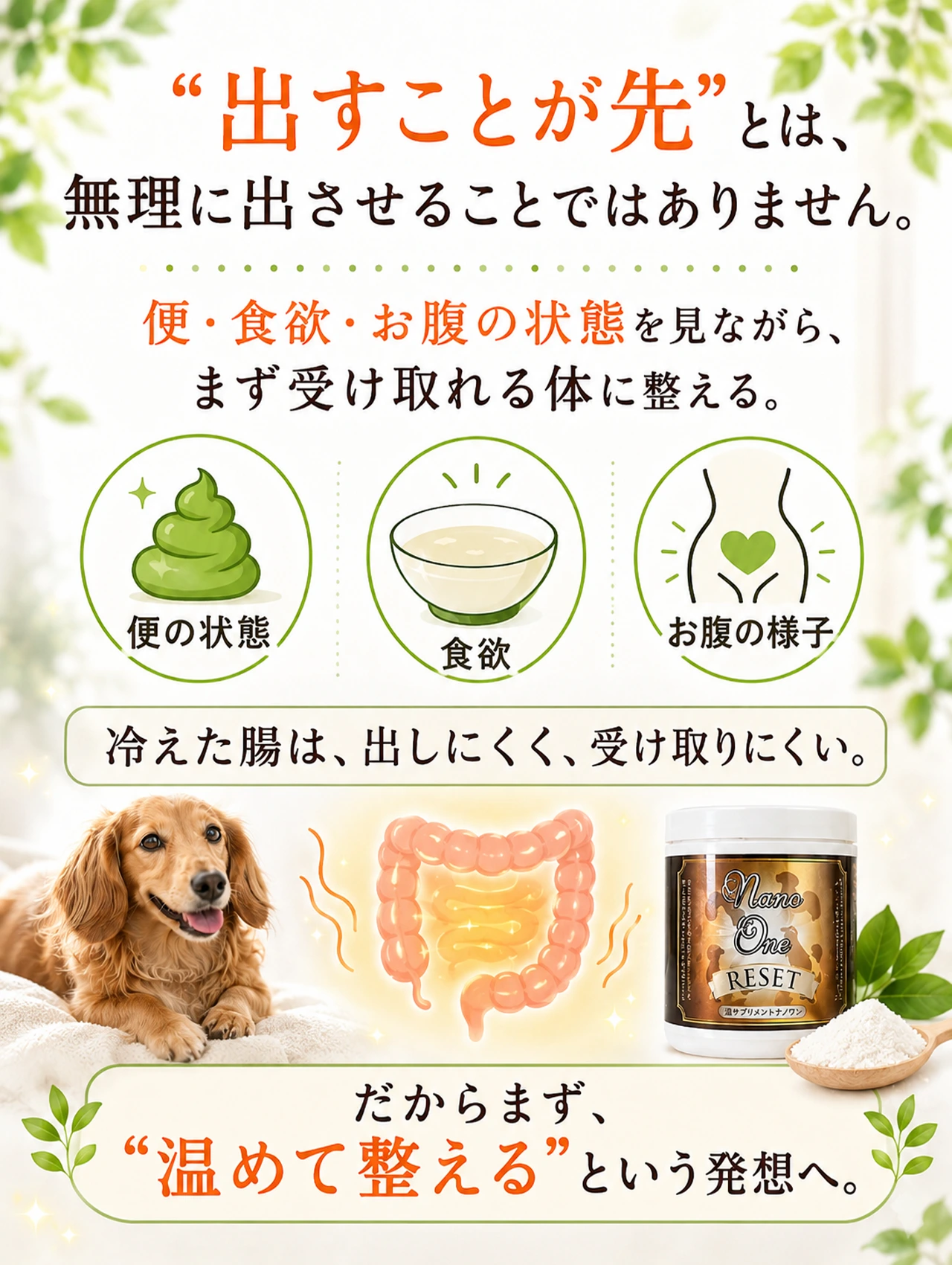 ナノワンリセットの出すことが先とは無理に出させるのではなく腸を整える考え方です
