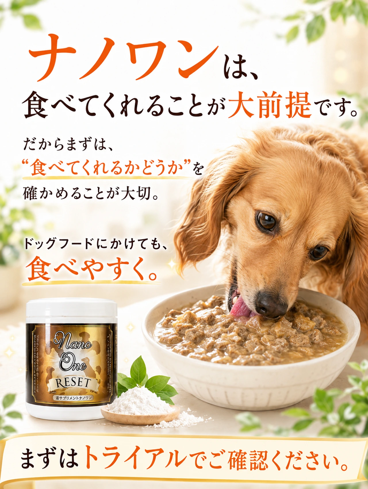 ナノワンリセットはドッグフードにもスープとしてかけやすい犬用サプリメントです