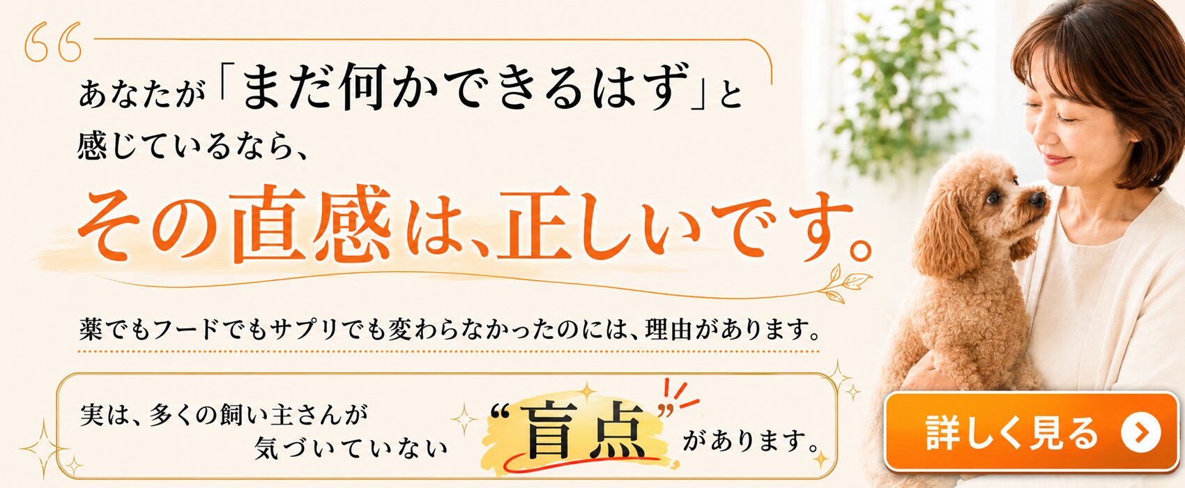 犬の腸活サプリ】ナノワンの原材料を解説！ | ナノワン