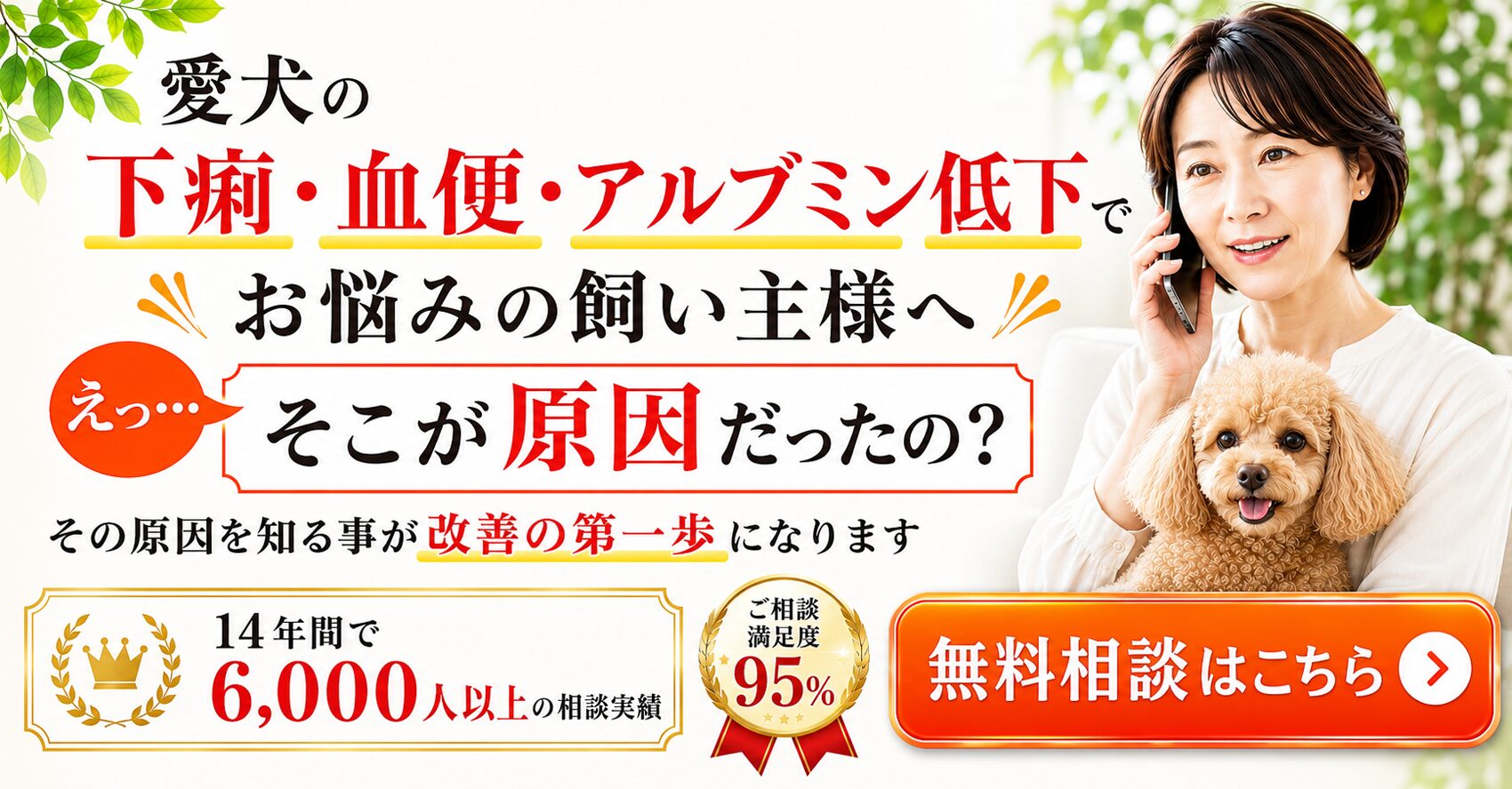 老 犬 ご飯 食べ ない 余命